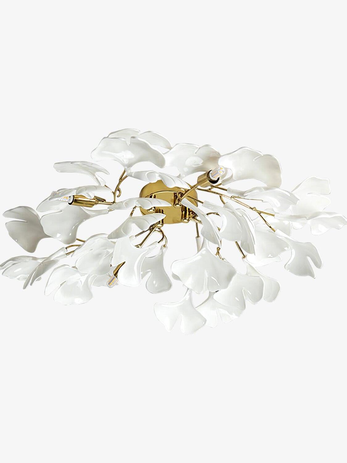 collection-banner-image
