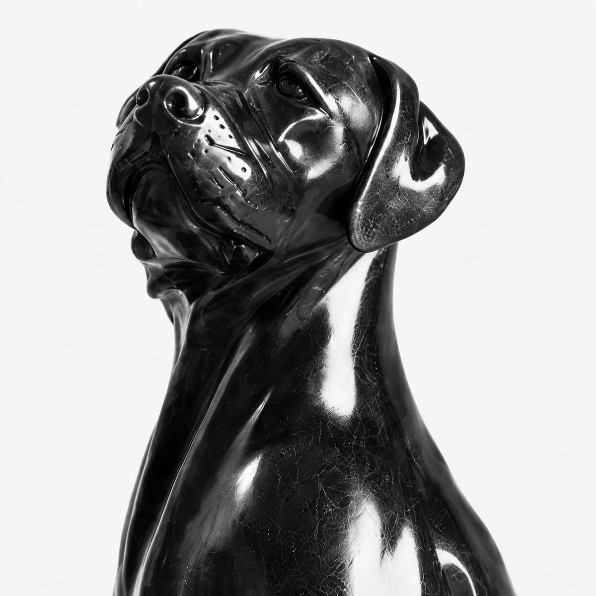 Close-up of glossy dog sculpture face