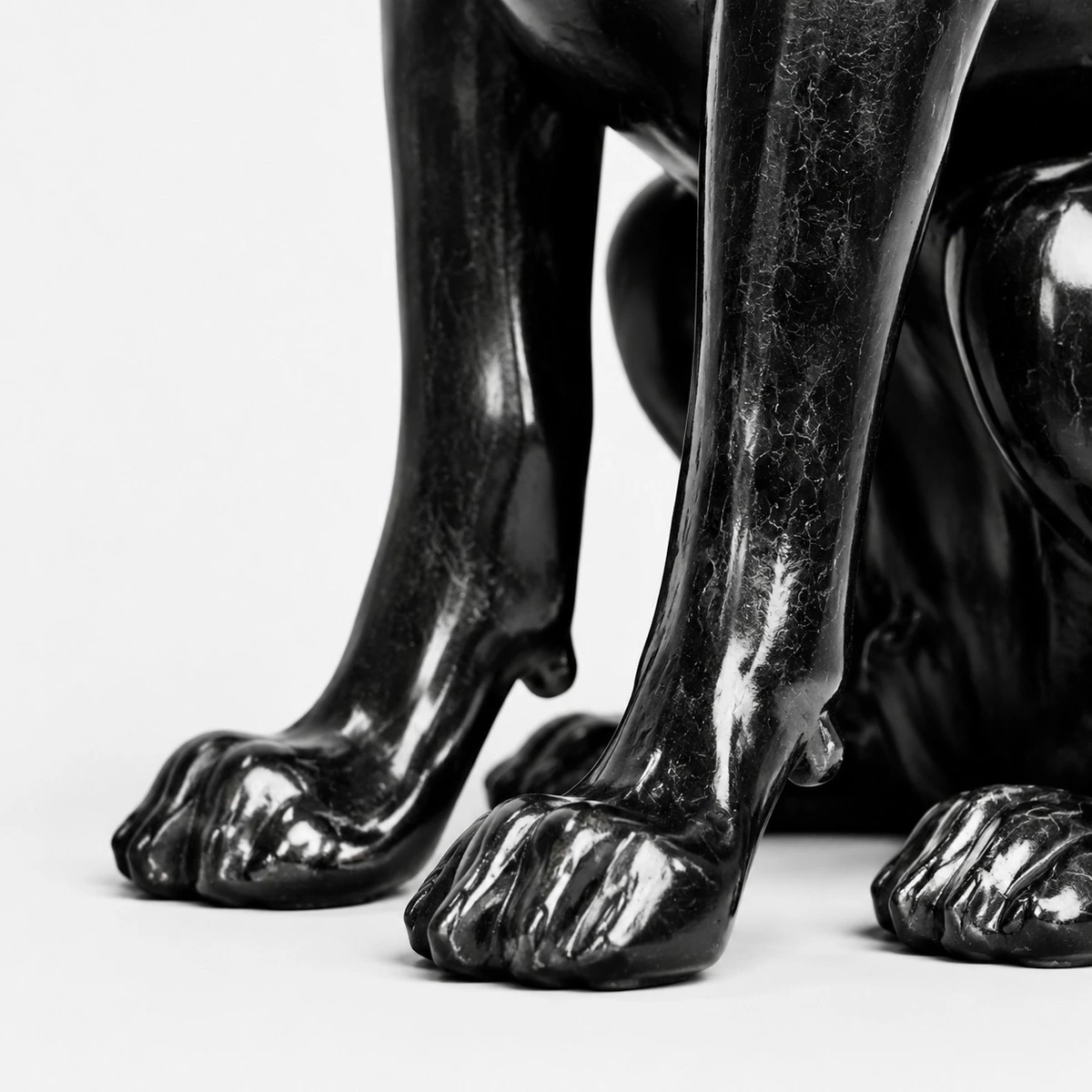 Paw and base detail